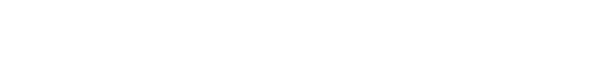 Holoeyes XR